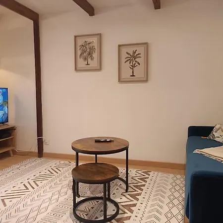 Petit Loft Des Prisons Apartment *
