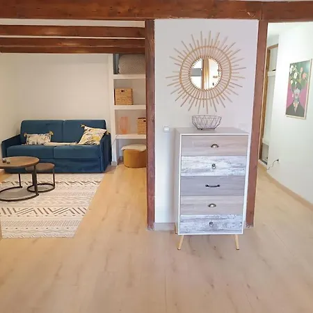 شقة Petit Loft Des Prisons آنسي